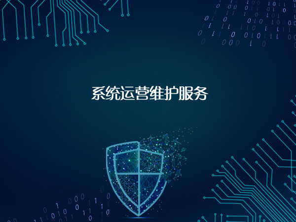 系统运营维护服务